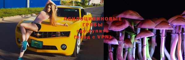 не бодяженный Арсеньев