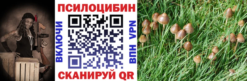 сколько стоит  Любань  Галлюциногенные грибы Magic Shrooms 